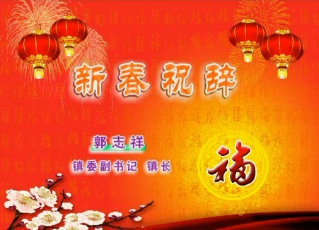 2013年郭志祥镇长新春电视讲话